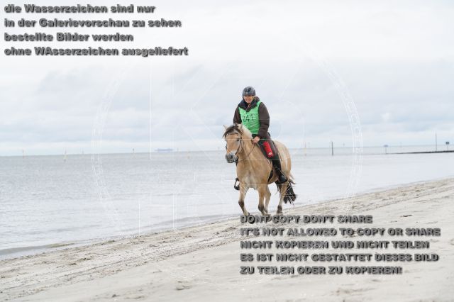 s_K3F04771.JPG